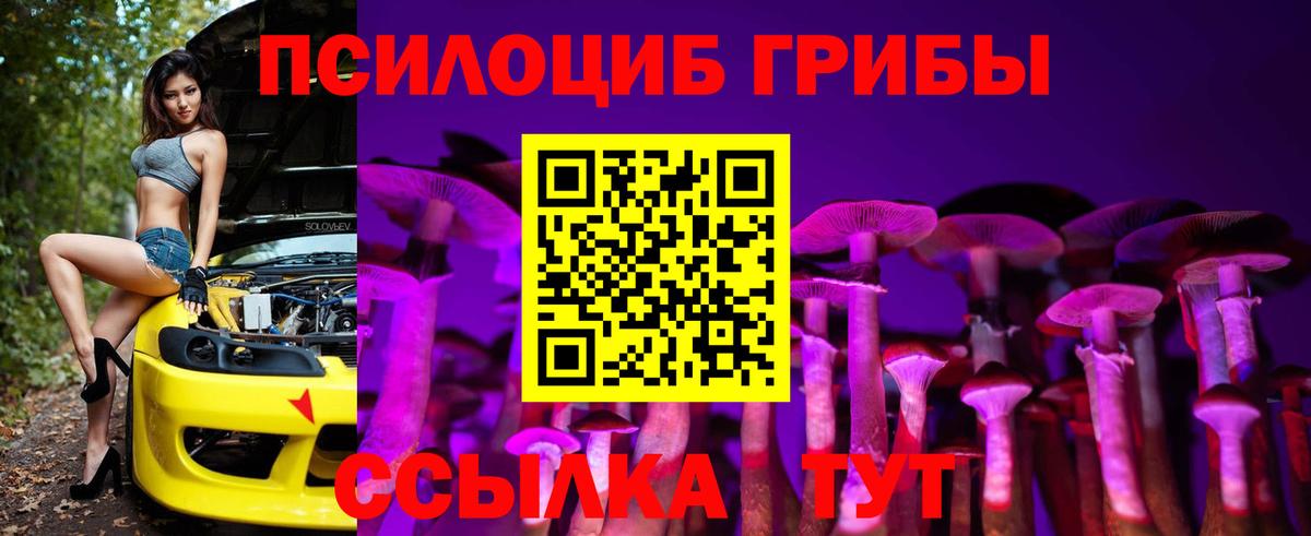 Канск  Псилоцибиновые грибы Psilocybine cubensis  Вход с VPN 
